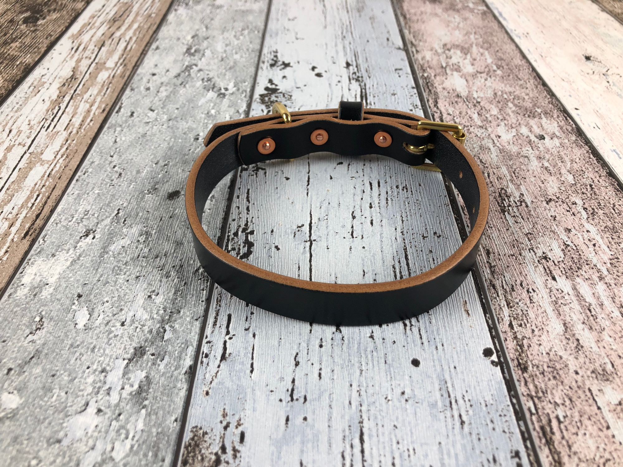 Leather Do gCollar showing Copper Rivets